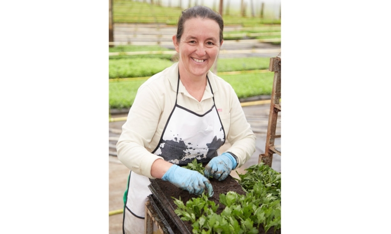 we root responsibility